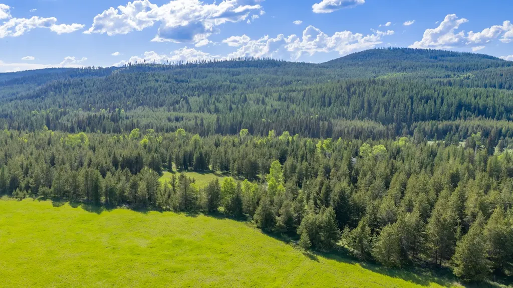 6999 Fortine Creek Road Trego MT 59934