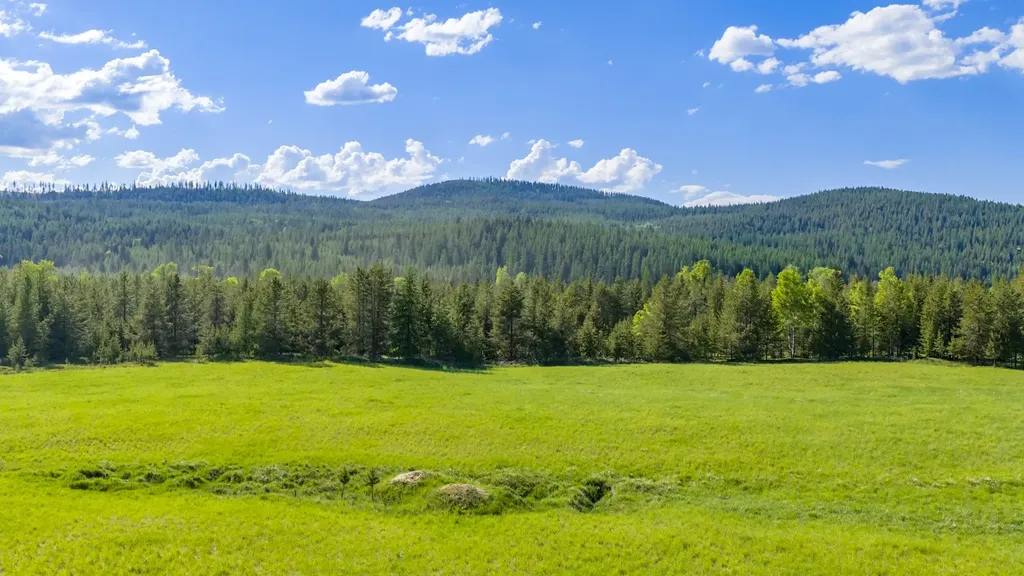 6999 Fortine Creek Road Trego MT 59934