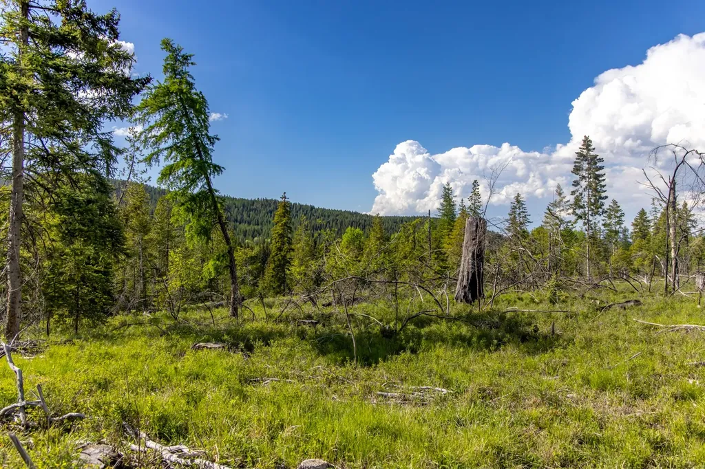 6999 Fortine Creek Road Trego MT 59934