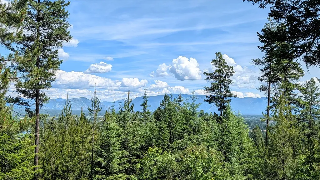 458 Haugen Heights Whitefish MT 59937