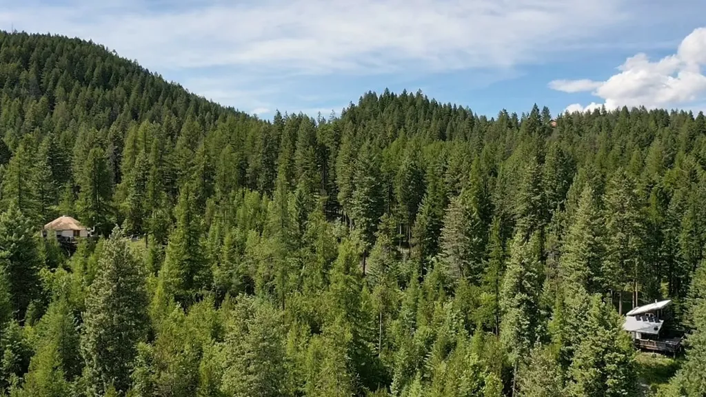 458 Haugen Heights Whitefish MT 59937