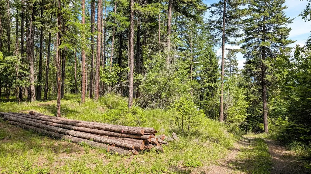 458 Haugen Heights Whitefish MT 59937
