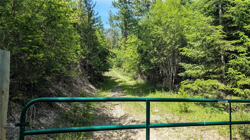 458 Haugen Heights Whitefish MT 59937