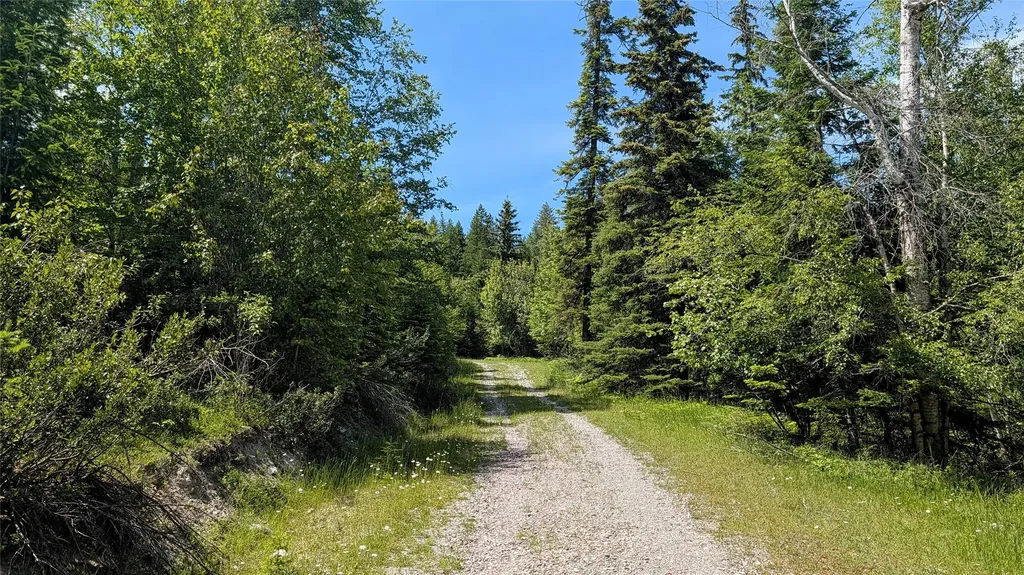 458 Haugen Heights Whitefish MT 59937