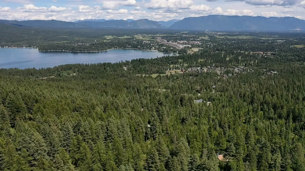 458 Haugen Heights Whitefish MT 59937