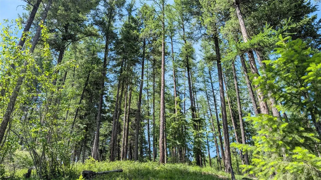 458 Haugen Heights Whitefish MT 59937
