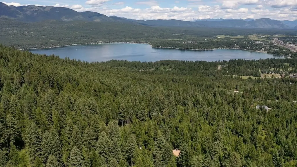 458 Haugen Heights Whitefish MT 59937