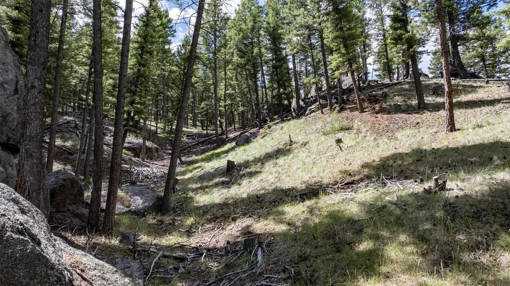 16 Evergreen Court Clancy MT 59634