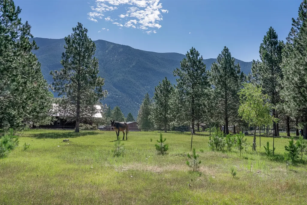 Nhn Tumbleweed Trail Columbia Falls MT 59912