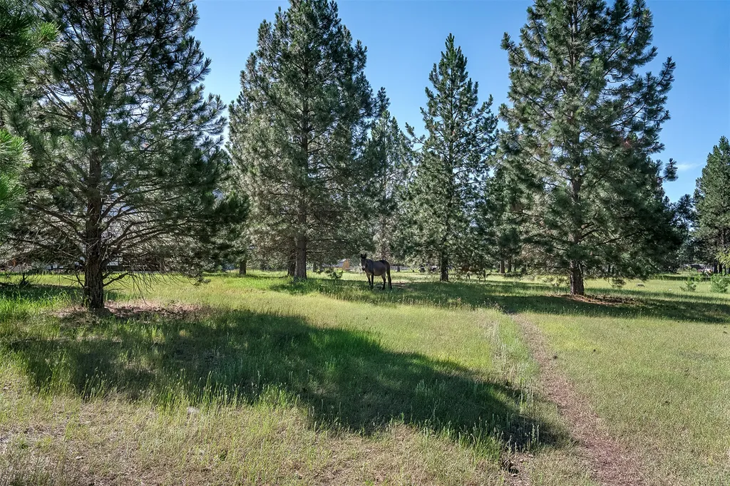 Nhn Tumbleweed Trail Columbia Falls MT 59912