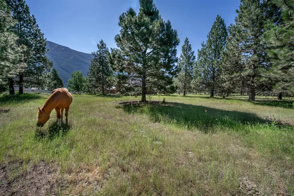 Nhn Tumbleweed Trail Columbia Falls MT 59912