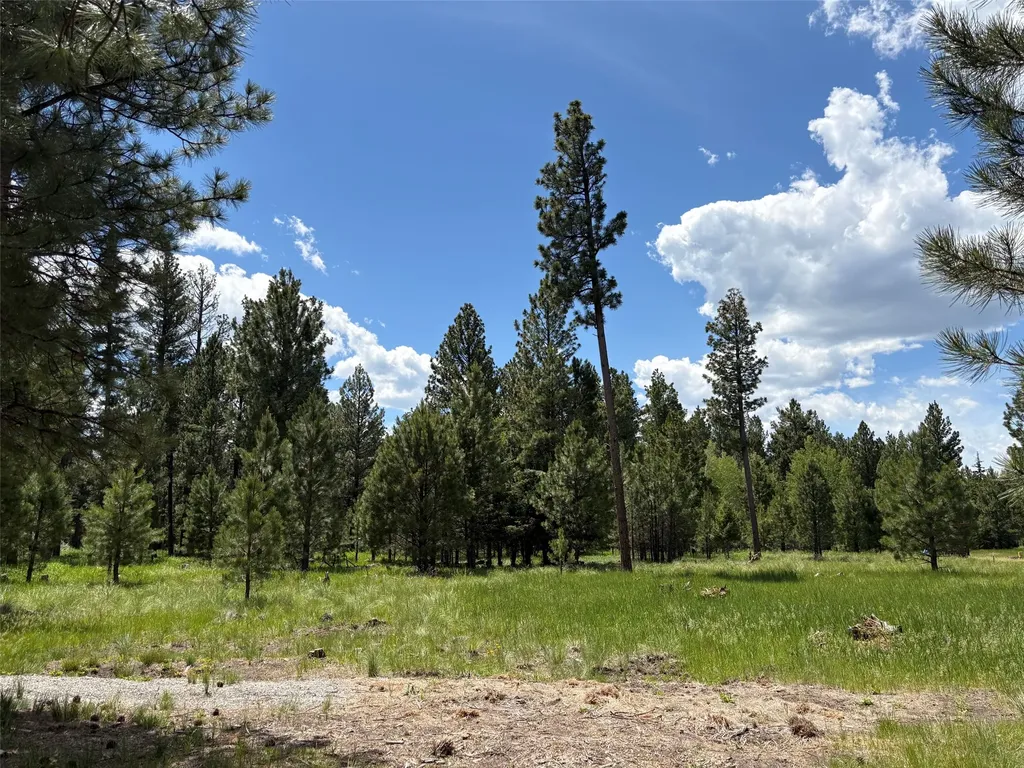 Lincoln MT 59639