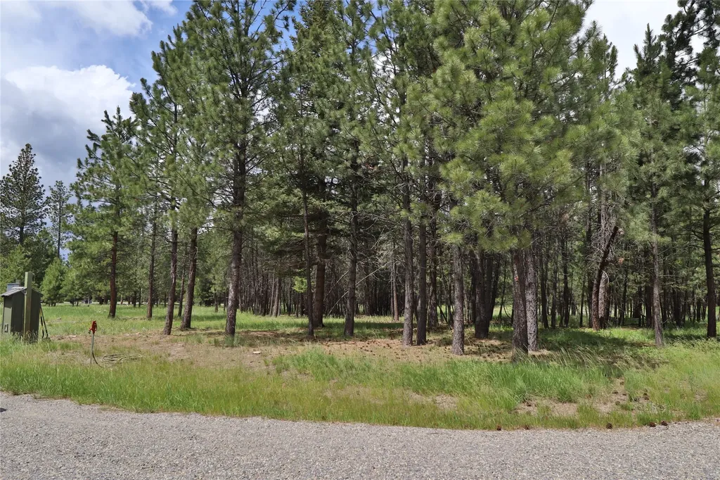 Lincoln MT 59639