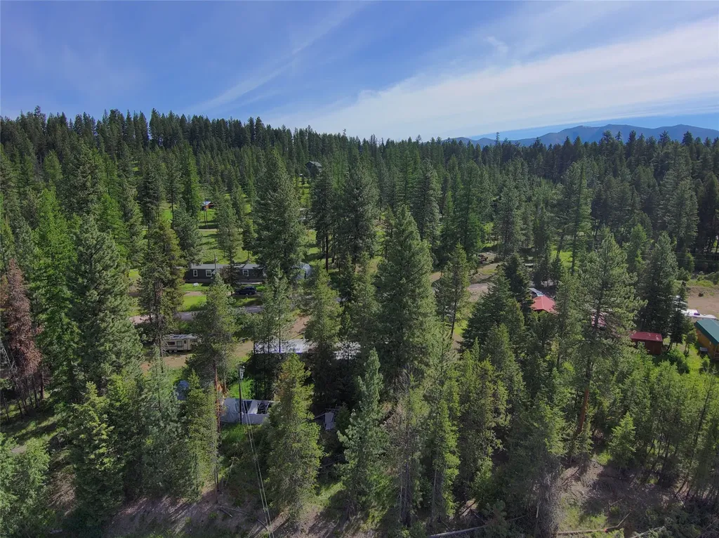 521 Seeley Lane Seeley Lake MT 59868