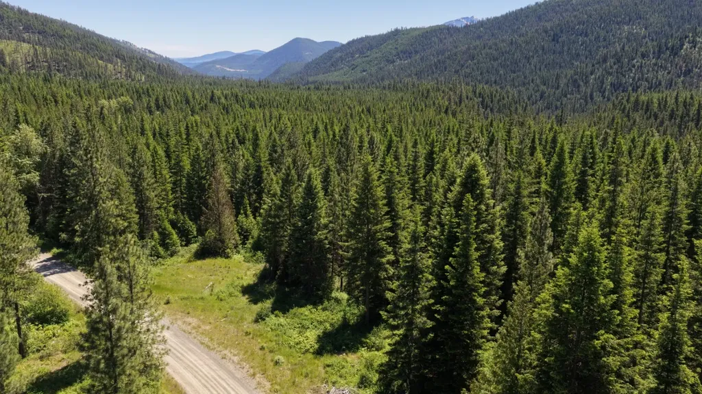 4577 Quartz Creek Road Libby MT 59923