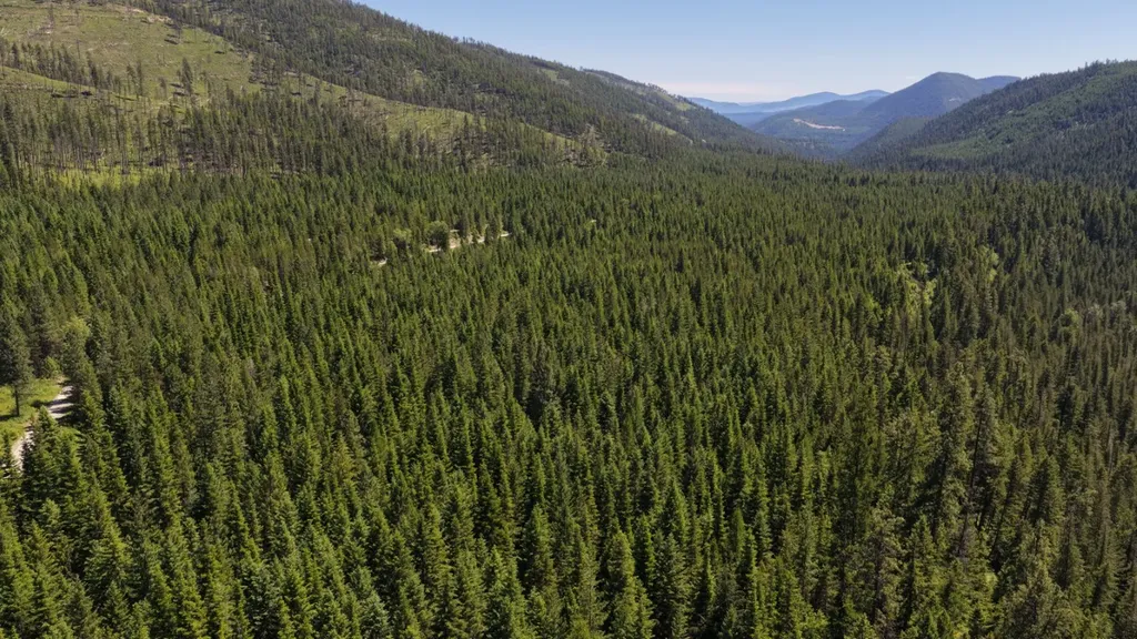 4577 Quartz Creek Road Libby MT 59923