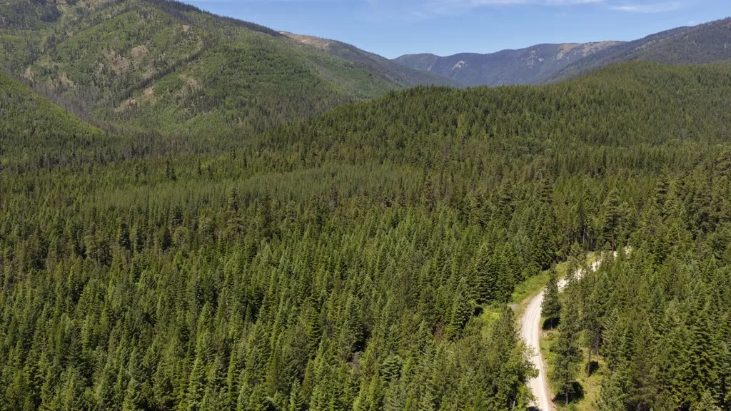 4577 Quartz Creek Road Libby MT 59923