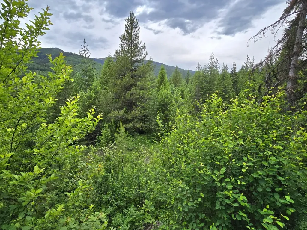 4577 Quartz Creek Road Libby MT 59923