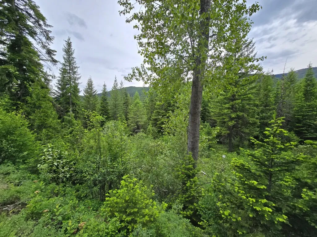 4577 Quartz Creek Road Libby MT 59923