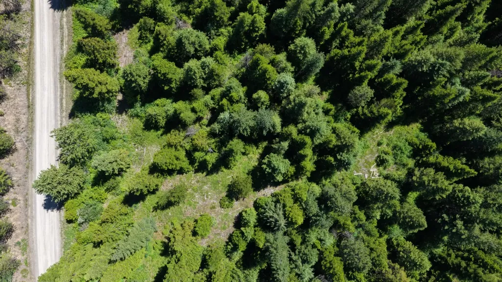 4577 Quartz Creek Road Libby MT 59923