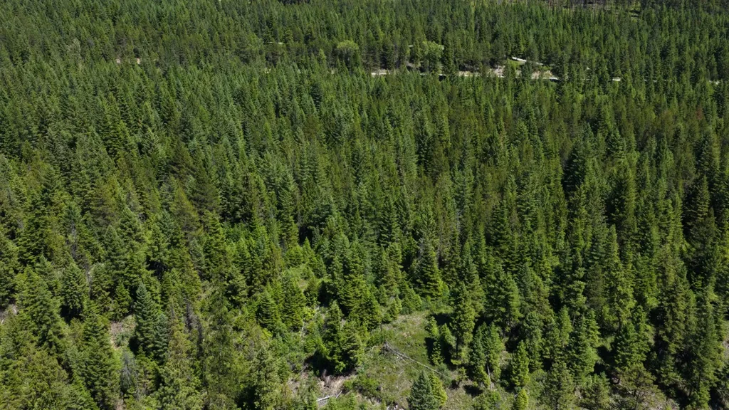 4577 Quartz Creek Road Libby MT 59923