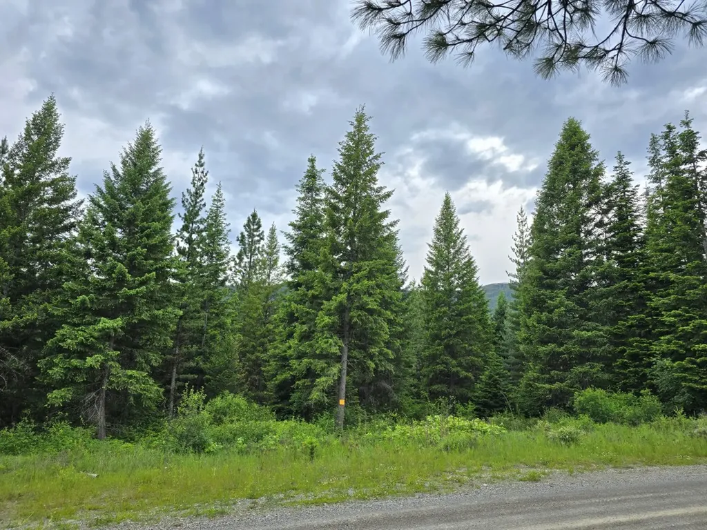4577 Quartz Creek Road Libby MT 59923