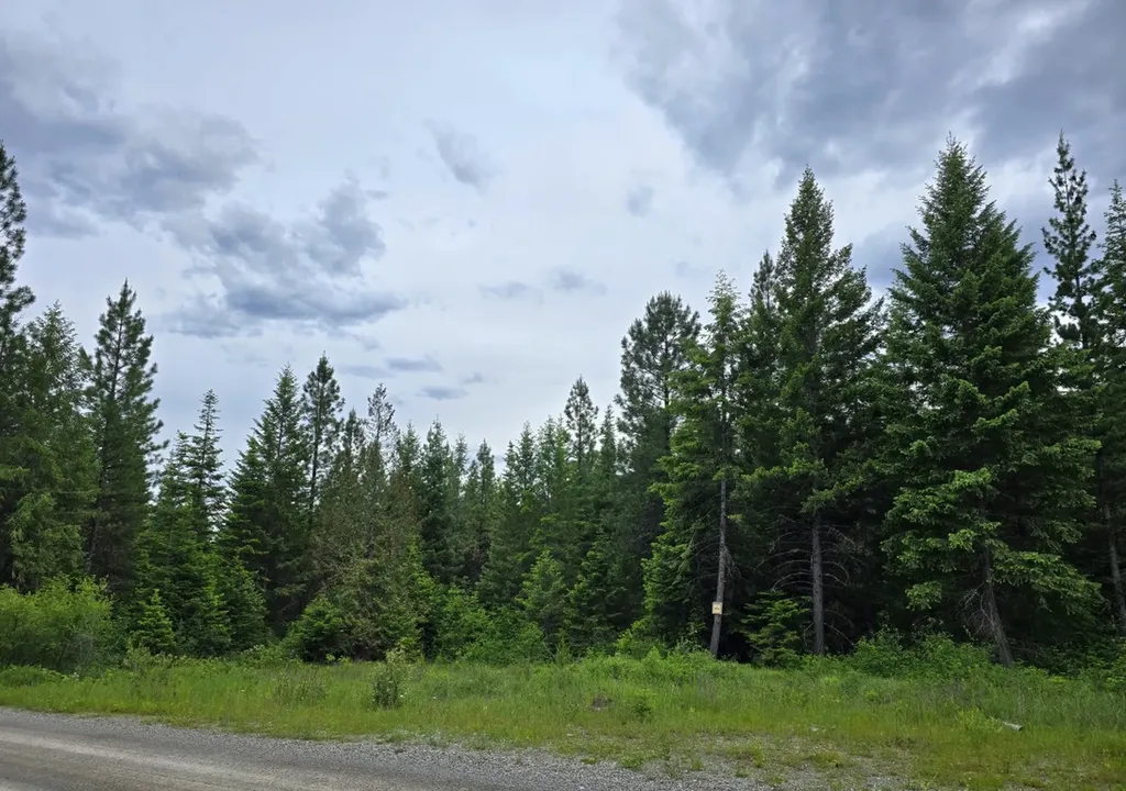 4577 Quartz Creek Road Libby MT 59923
