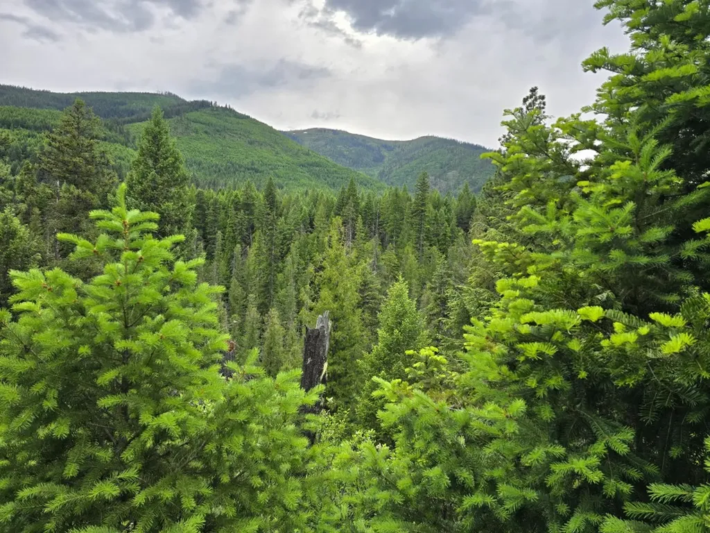 4577 Quartz Creek Road Libby MT 59923