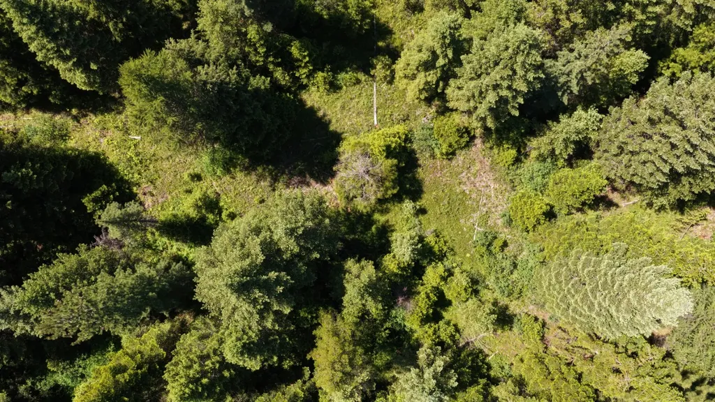 4577 Quartz Creek Road Libby MT 59923