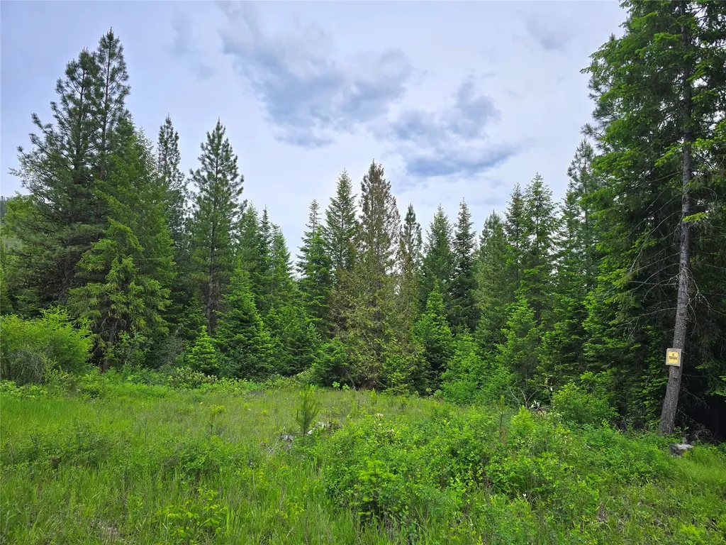 4577 Quartz Creek Road Libby MT 59923