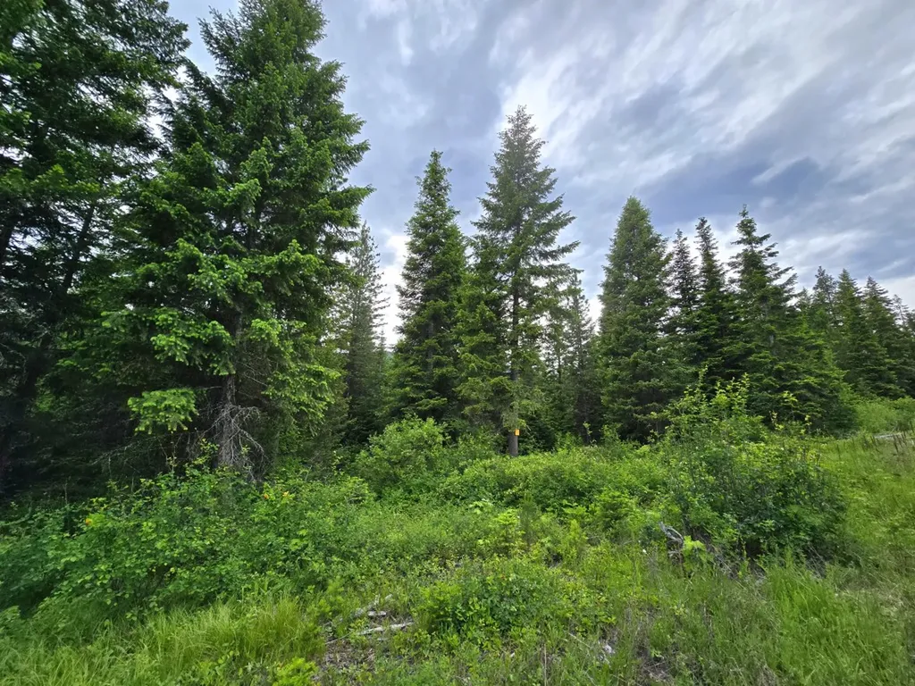 4577 Quartz Creek Road Libby MT 59923