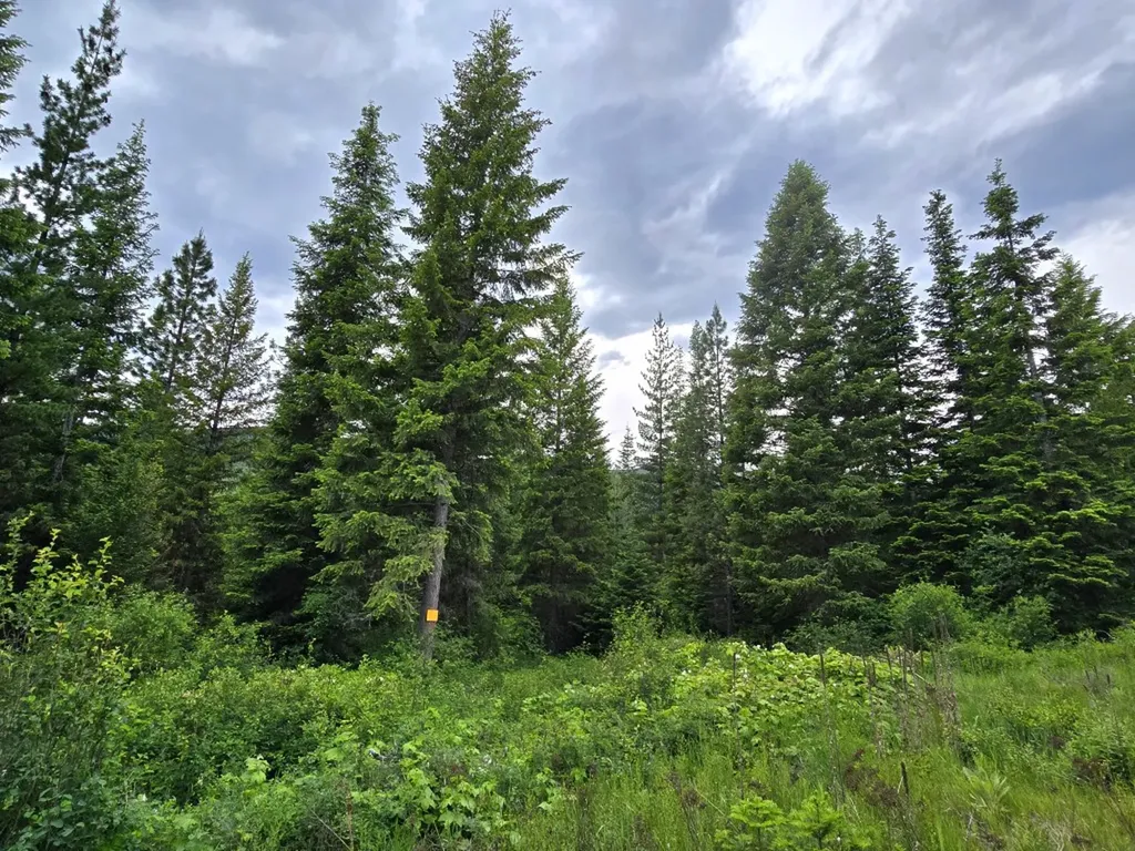4577 Quartz Creek Road Libby MT 59923