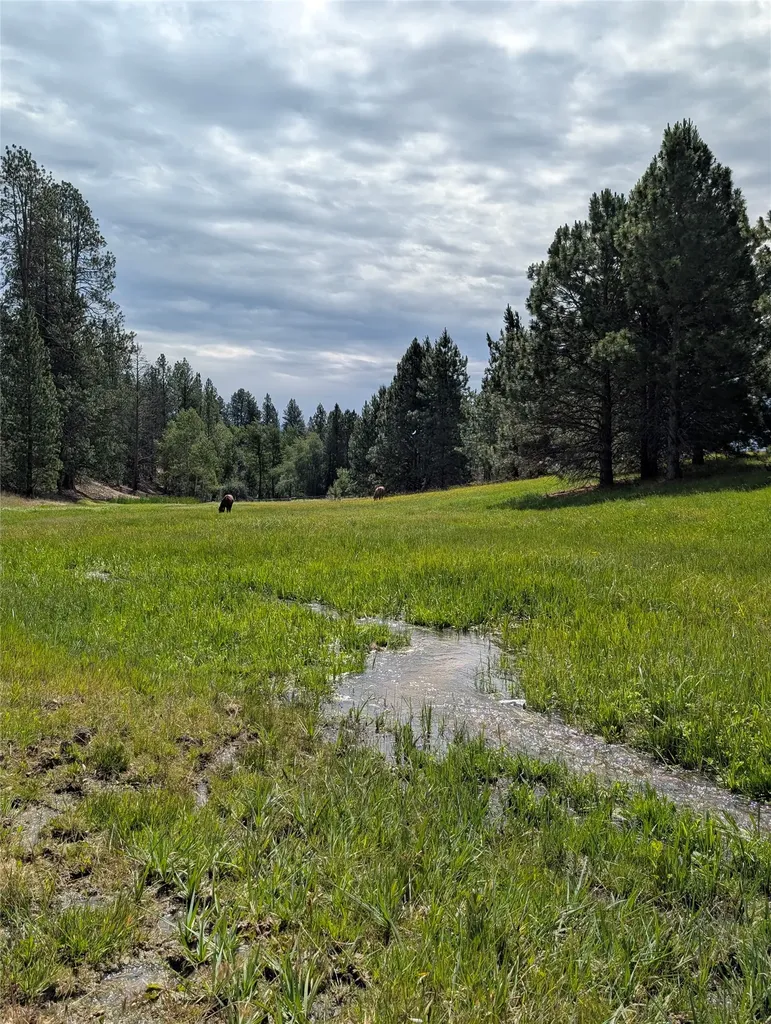 511 Hudson Lane Victor MT 59875