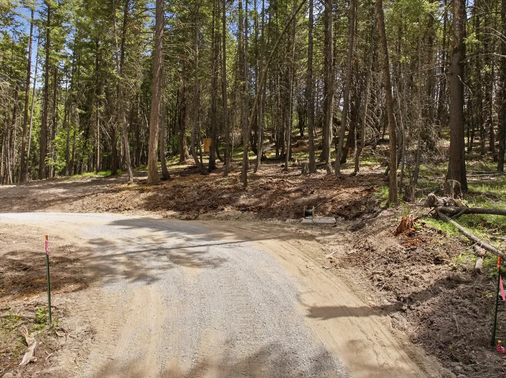 1615 Truman Creek Road Kila MT 59920