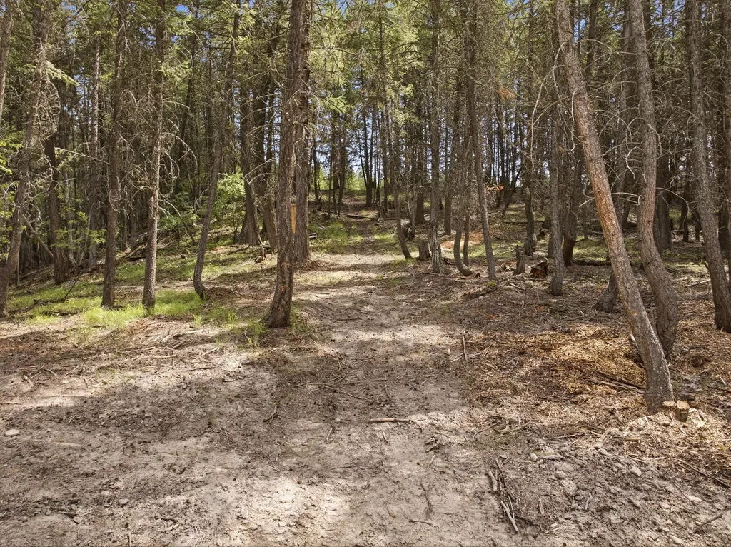 1615 Truman Creek Road Kila MT 59920