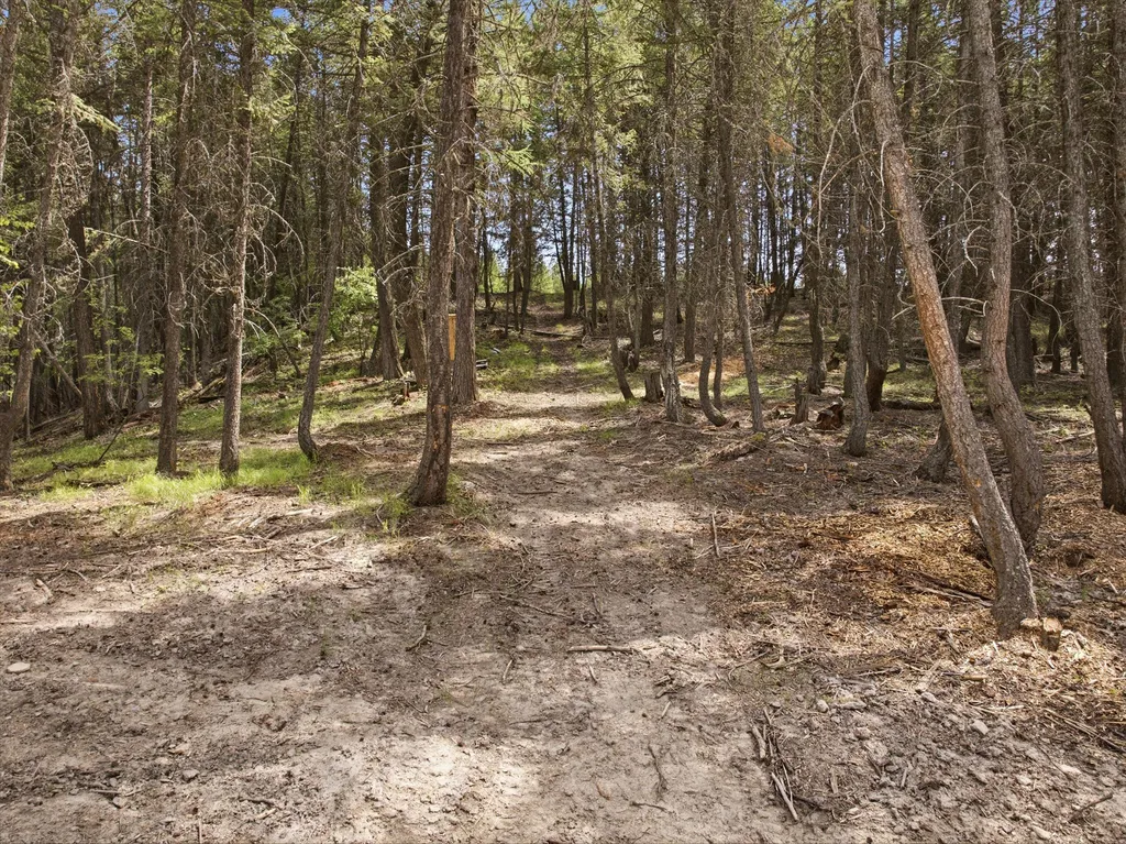 1615 Truman Creek Road Kila MT 59920