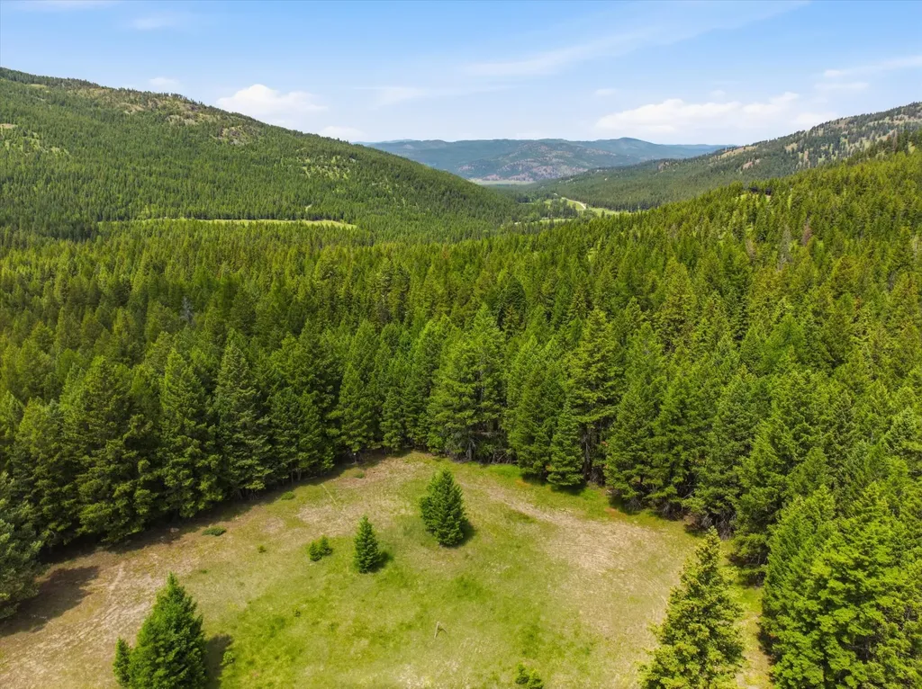 1615 Truman Creek Road Kila MT 59920