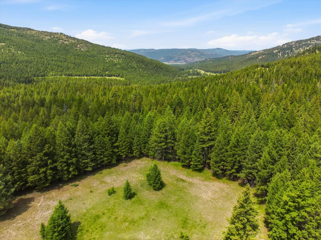 1615 Truman Creek Road Kila MT 59920