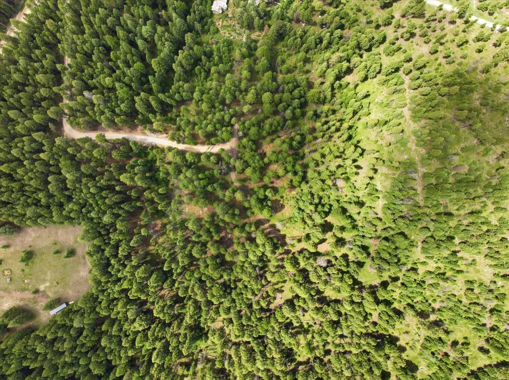 1615 Truman Creek Road Kila MT 59920