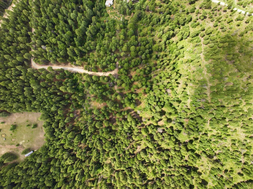 1615 Truman Creek Road Kila MT 59920
