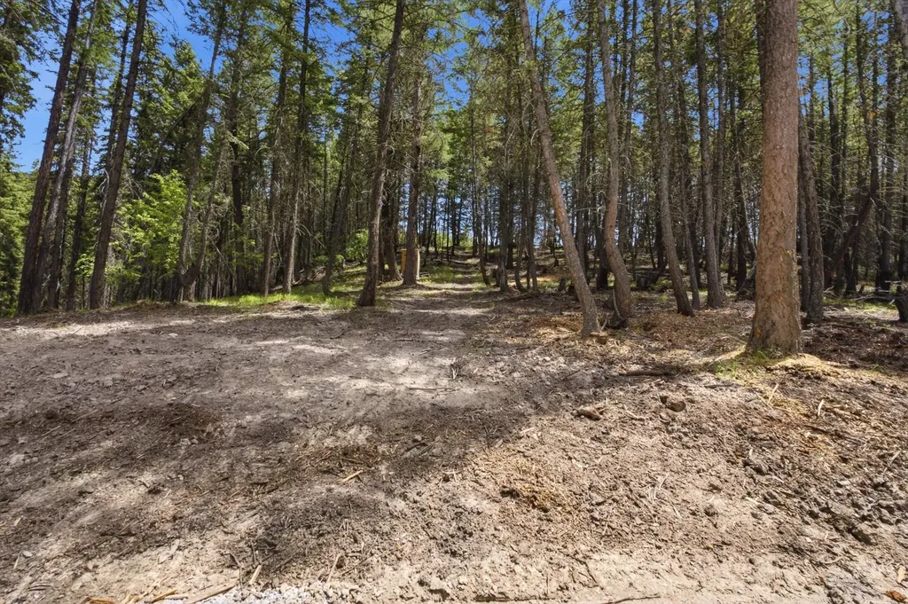 1615 Truman Creek Road Kila MT 59920