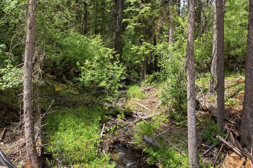 1615 Truman Creek Road Kila MT 59920