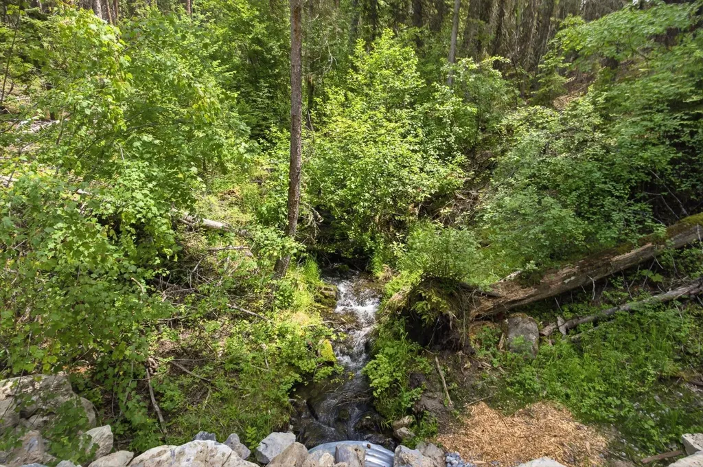 1615 Truman Creek Road Kila MT 59920