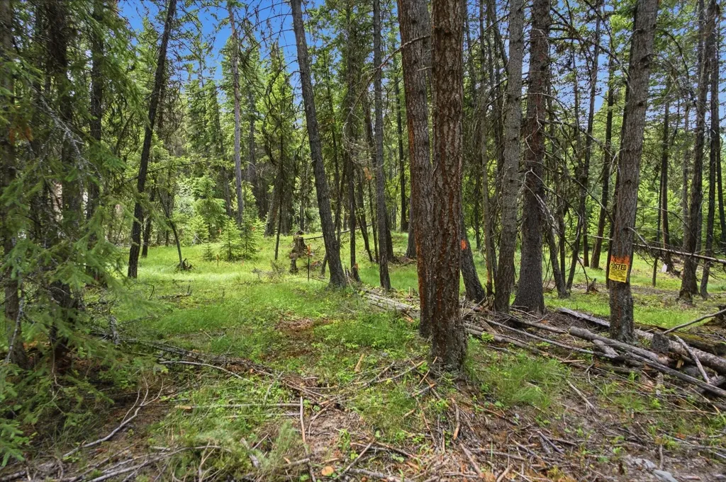 1615 Truman Creek Road Kila MT 59920