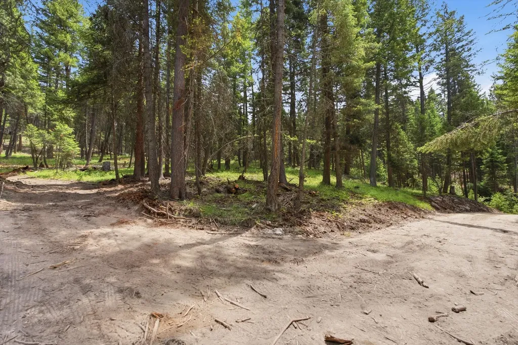 1615 Truman Creek Road Kila MT 59920