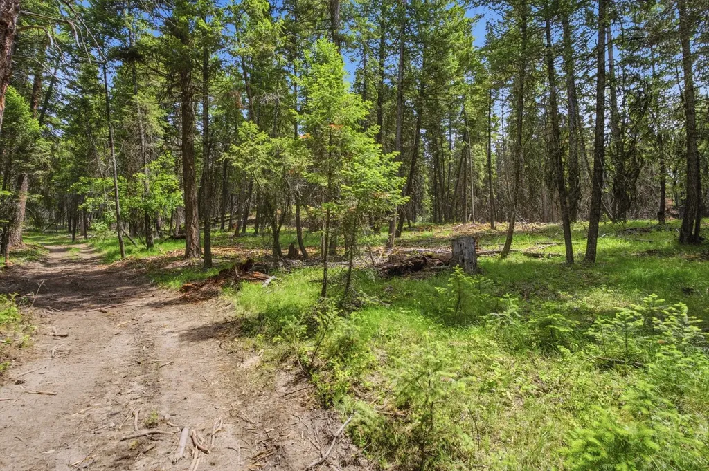 1615 Truman Creek Road Kila MT 59920