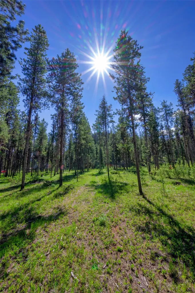 Nhn Happy Acres Lane Sula MT 59871