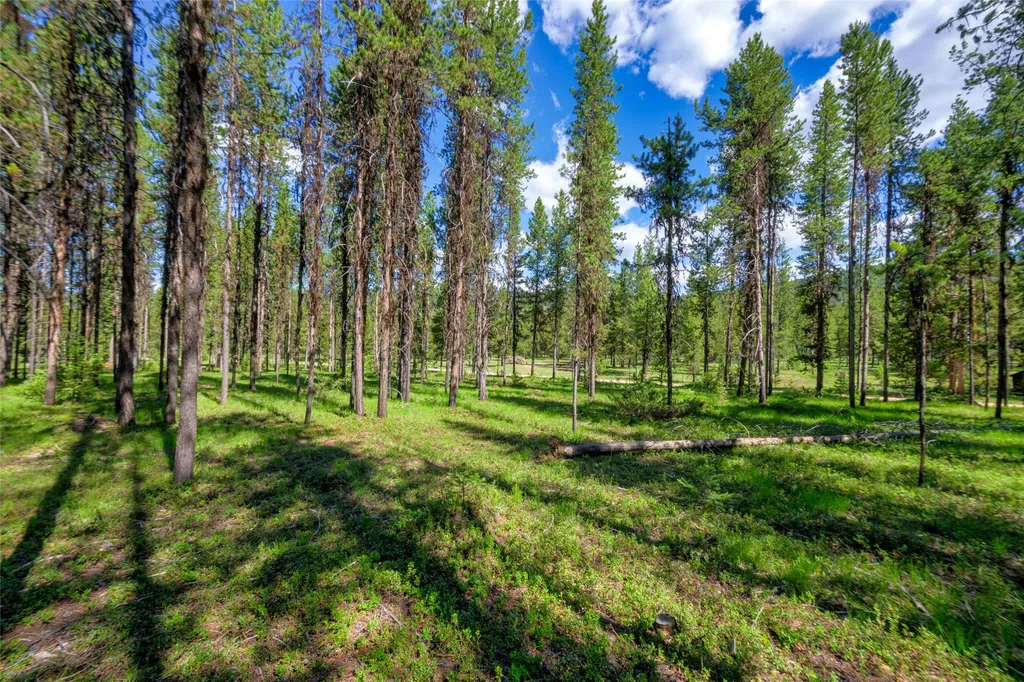 Nhn Happy Acres Lane Sula MT 59871