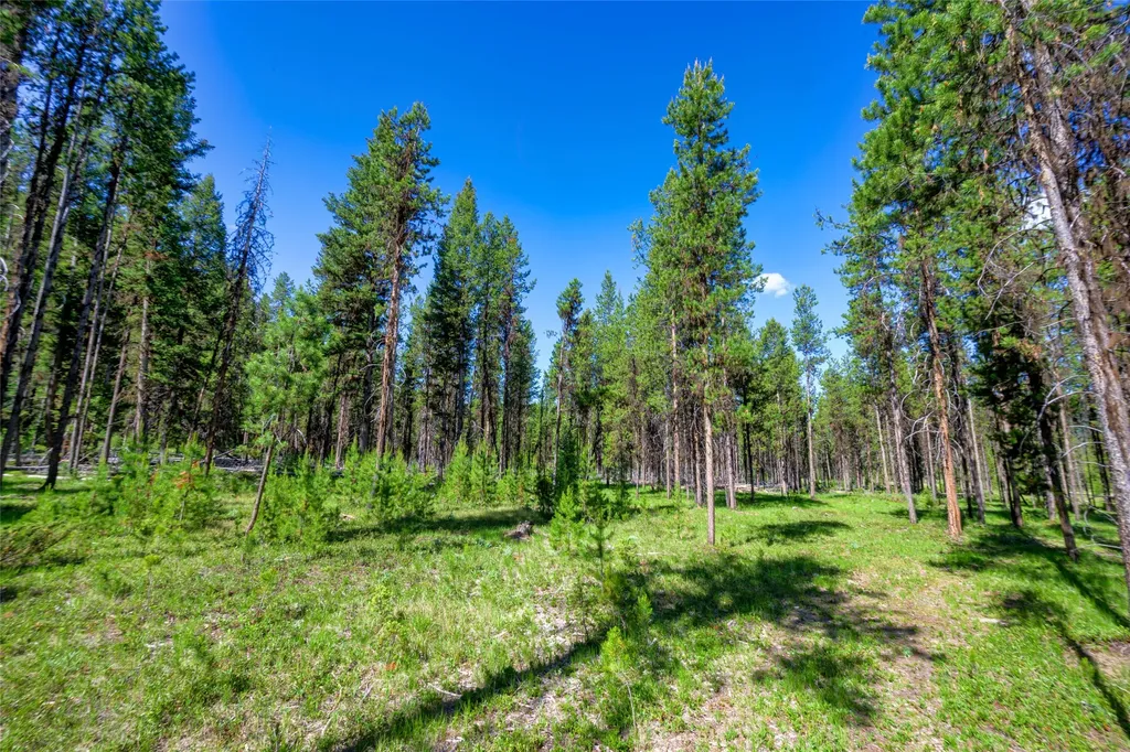 Nhn Happy Acres Lane Sula MT 59871