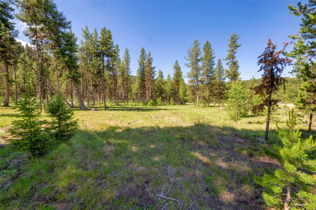 Nhn Happy Acres Lane Sula MT 59871